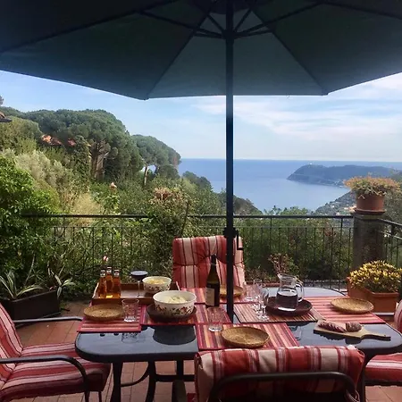 Apartment Splendid Sea View